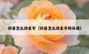 抖音怎么改名字（抖音怎么改名字和头像）