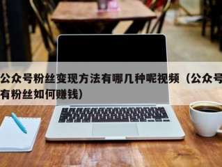 公众号粉丝变现方法有哪几种呢视频（公众号有粉丝如何赚钱）