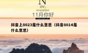 抖音上8023是什么意思（抖音8014是什么意思）