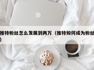 推特粉丝怎么发展到两万（推特如何成为粉丝）