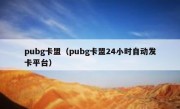 pubg卡盟（pubg卡盟24小时自动发卡平台）