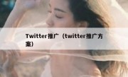 Twitter推广（twitter推广方案）