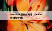 facebook刷粉丝网站（facebook增加粉丝）