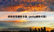 绝地求生辅助卡盟（pubg辅助卡盟）