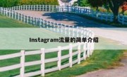 Instagram流量的简单介绍