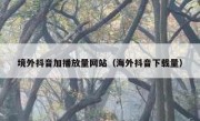 境外抖音加播放量网站（海外抖音下载量）