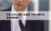 抖音上8023是什么意思（8023是什么意思啊纹身）