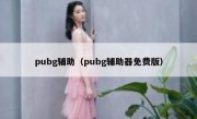 pubg辅助（pubg辅助器免费版）