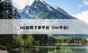 Ins自助下单平台（Ins平台）