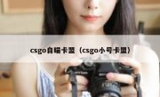 csgo自瞄卡盟（csgo小号卡盟）