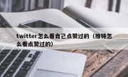 twitter怎么看自己点赞过的（推特怎么看点赞过的）