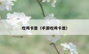 吃鸡卡盟（手游吃鸡卡盟）