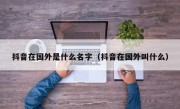 抖音在国外是什么名字（抖音在国外叫什么）