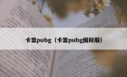 卡盟pubg（卡盟pubg国际服）