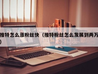 推特怎么涨粉丝快（推特粉丝怎么发展到两万）