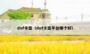 dnf卡盟（dnf卡盟平台哪个好）