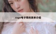 csgo电子哥的简单介绍