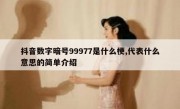 抖音数字暗号99977是什么梗,代表什么意思的简单介绍