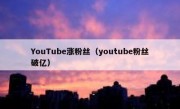 YouTube涨粉丝（youtube粉丝破亿）