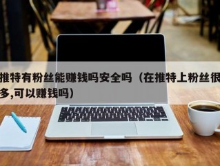 推特有粉丝能赚钱吗安全吗（在推特上粉丝很多,可以赚钱吗）