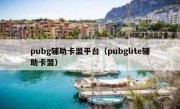 pubg辅助卡盟平台（pubglite辅助卡盟）