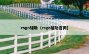 csgo辅助（csgo辅助官网）