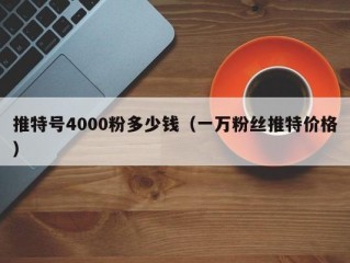 推特号4000粉多少钱（一万粉丝推特价格）