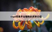 csgo完美平台辅助的简单介绍