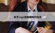 关于csgo自瞄辅助的信息