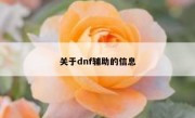 关于dnf辅助的信息