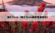 福汇fxcm（福汇fxcm最新登录网址）