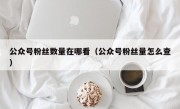 公众号粉丝数量在哪看（公众号粉丝量怎么查）