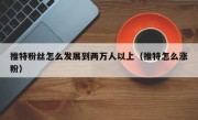 推特粉丝怎么发展到两万人以上（推特怎么涨粉）