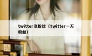 twitter涨粉丝（Twitter一万粉丝）