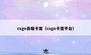 csgo自瞄卡盟（csgo卡盟平台）