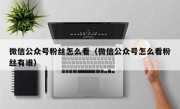 微信公众号粉丝怎么看（微信公众号怎么看粉丝有谁）