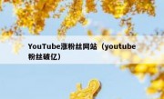 YouTube涨粉丝网站（youtube粉丝破亿）