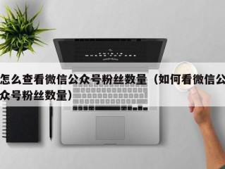 怎么查看微信公众号粉丝数量（如何看微信公众号粉丝数量）