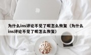 为什么ins评论不见了呢怎么恢复（为什么ins评论不见了呢怎么恢复）