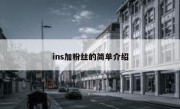 ins加粉丝的简单介绍