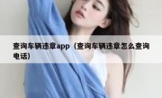 查询车辆违章app（查询车辆违章怎么查询电话）