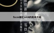 fxcm福汇mt4的简单介绍