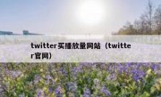 twitter买播放量网站（twitter官网）