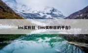 ins买粉丝（ins买粉丝的平台）