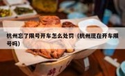 杭州忘了限号开车怎么处罚（杭州现在开车限号吗）