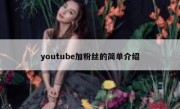 youtube加粉丝的简单介绍