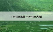 Twitter流量（twitter大陆）