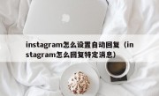 instagram怎么设置自动回复（instagram怎么回复特定消息）