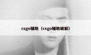 csgo辅助（csgo辅助破解）