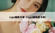 csgo辅助卡盟（csgo辅助提卡网）